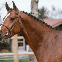 Cairoua Bee de La Rosière Z