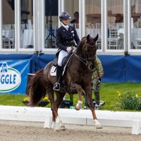 Blue Hors Fifty Cent