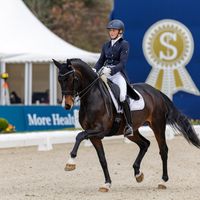 Toerveslettens Sunshine