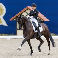 Bretton's Firegirl GD