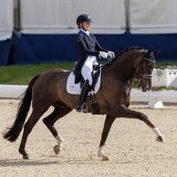 Blue Hors Touch Of Olympic L