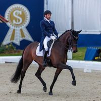 Kristal Fan T Begijnhoeve