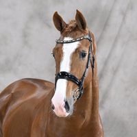 Escamillo / Borsalino