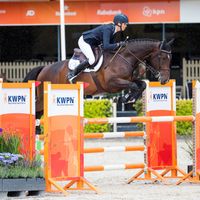 Jancoulavsco Fortuna