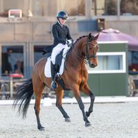 Ophelia van het Rozenhof