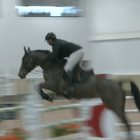 Curraghgraigue Q Hill