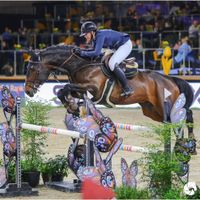 Imagination v't Winkenshof Z