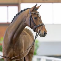 Valdemossa de Colonia