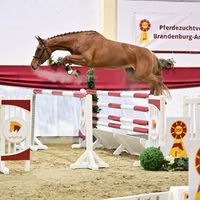 Contina von Steinberg