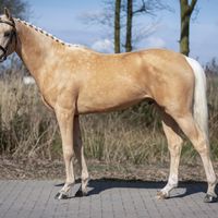 Vanilla Ice de Tamise