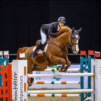 Andy'sboy Bretoniere