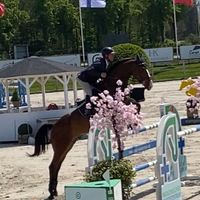 King Of The Lowlands DK