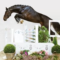 Hengst von Cornet Obolensky X Emerald van Het Ruytershof