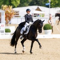 Voller Emotionen NRW