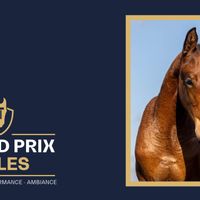 Be My Lady Ter Putte