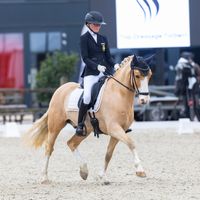 Tackmann's Hochgenuss