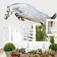 Hengst von Chacoon Blue X Dominator Z