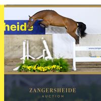 EL TORNADO VAN HET VLIERHOF Z