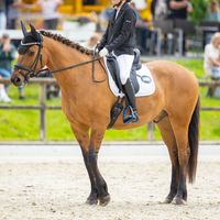 Viktor der Außergewöhnliche