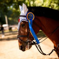 ARGENTINA DAS UMBURANAS