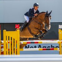 Pegasus Dawsons Flex