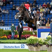 EMBRYO von BALOU DU REVENTON x NABAB DE REVE