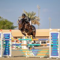 Flying High de La Riviere