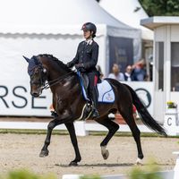 Samarant van de Kempenhoeve