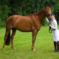 Itchylilie Rouge Bois