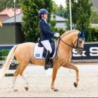 Biebosschen Dandy Lion