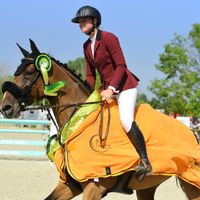 Ibiza van de Zuuthoeve