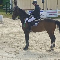 Paco Blue van't Breezerhof