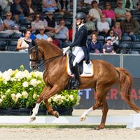 Naomyi de La Fazenda