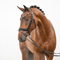 Eaton of Westfalia CvM