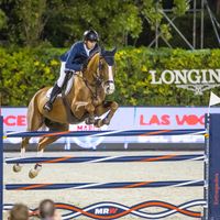 My Passion vd Donkhoeve