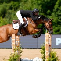 Perte Totale de Res Nova