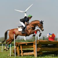 Cooley Diamond Dancer