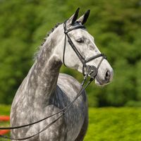 Million Shades Of Grey