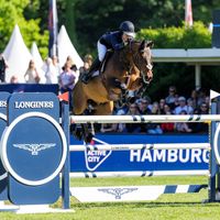 Mistral van de Vogelzang