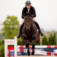 True Prince Van 'T Heike