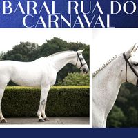 BARAL RUA DO CARNAVAL