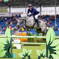 Tendresse de la Vie Z