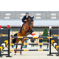 Quardonna van Het Weidse HOF