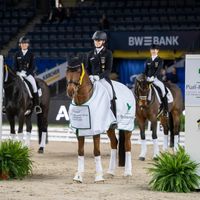 Damon's Satelite NRW