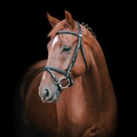 Templation v/d Reynaarthoeve