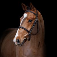 El Passo de L' Esprit