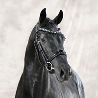 Fürst Jazz / Ampere