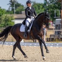 Florentino af Hvarre