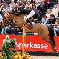 Iron Dames Casa Blue PS