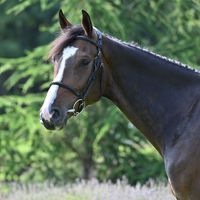 It´s Me de La Fortune